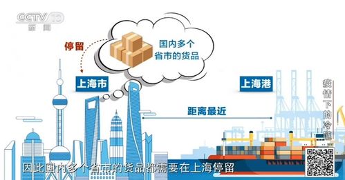 張文宏 冷鏈傳播風(fēng)險(xiǎn)低，上海數(shù)據(jù)顯示進(jìn)口貨品感染案例為零